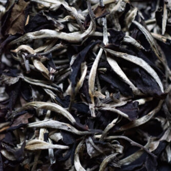 🍃 Юэ Гуан Бай, білий чай що також відомий як Біле Місячне Сяйво — вразить вас своєю смаковою гармонією.